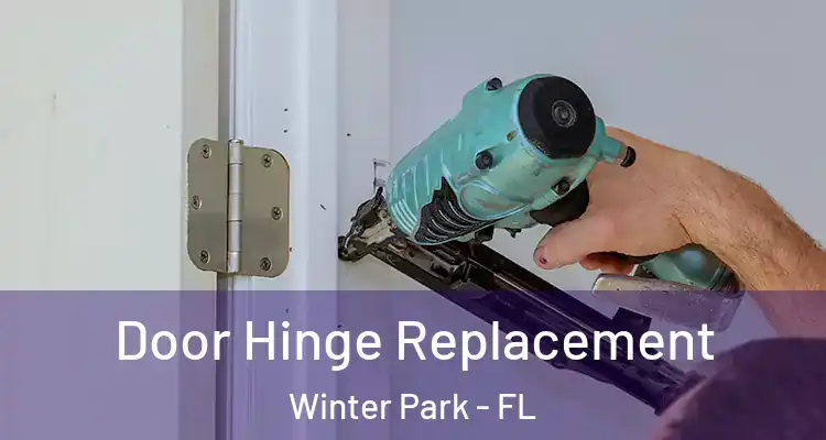  Door Hinge Replacement Winter Park - FL