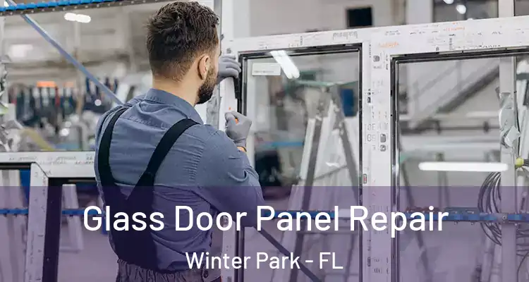  Glass Door Panel Repair Winter Park - FL